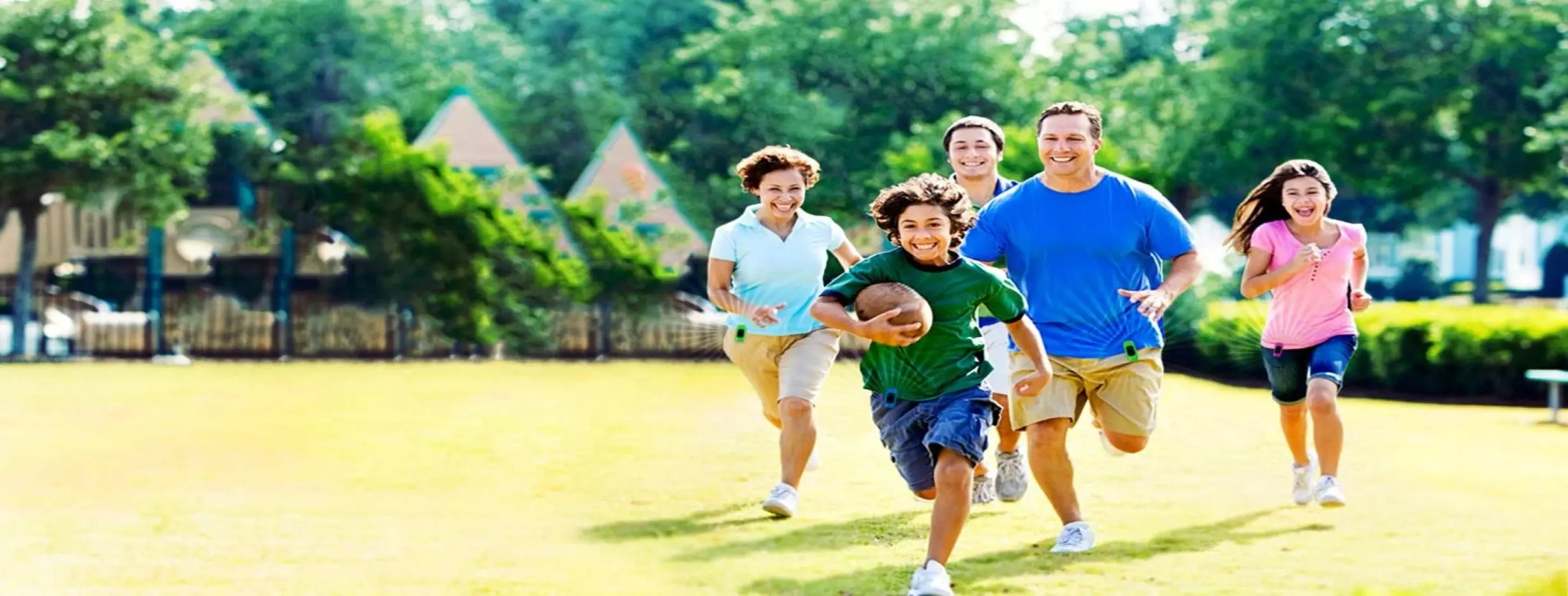 Image for Leisure and Recreation